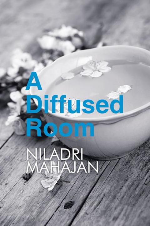 Cover image for book A Diffused Room