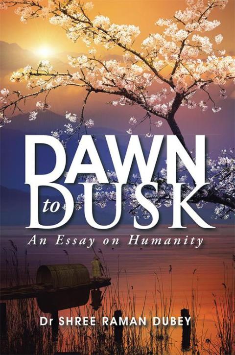 Cover image for book Dawn  to Dusk