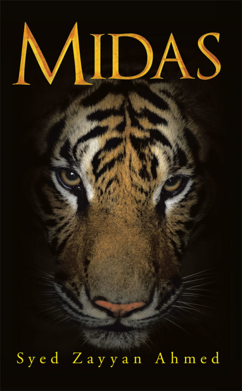 Cover image for book Midas