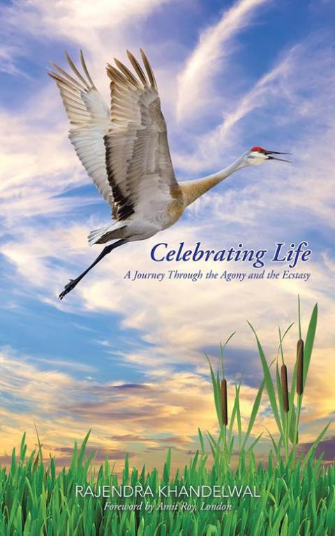 Cover image for book Celebrating Life