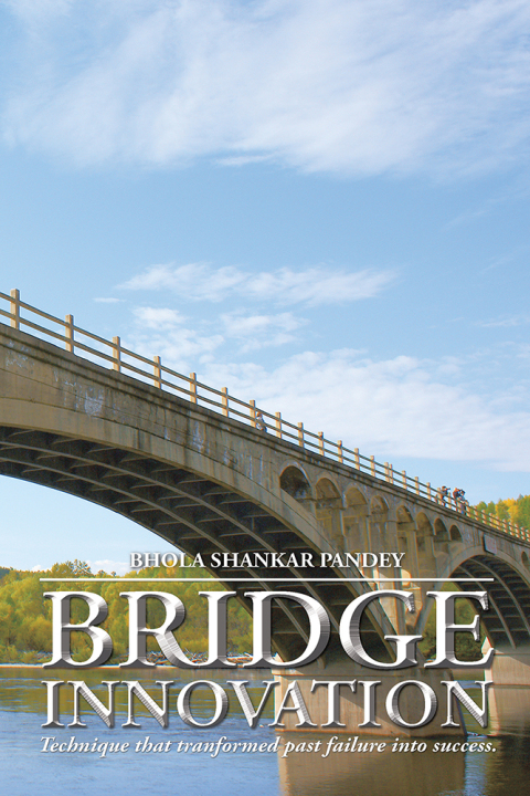 Cover image for book Bridge Innovation