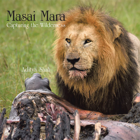 Cover image for book Masai Mara Capturing the Wilderness