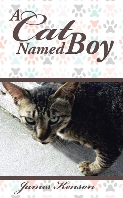 Cover image for book A Cat Named Boy