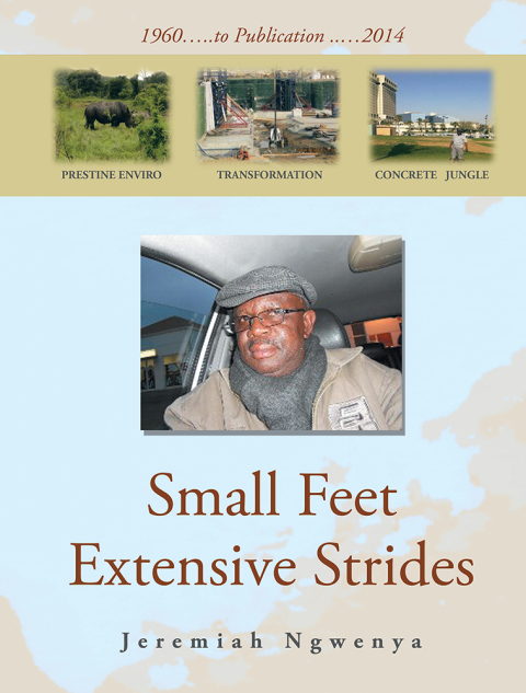 Cover image for book Small Feet Extensive Strides