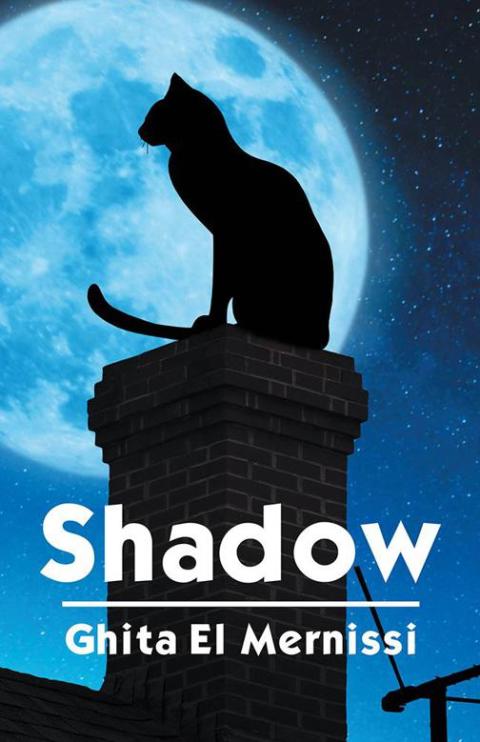 Cover image for book Shadow