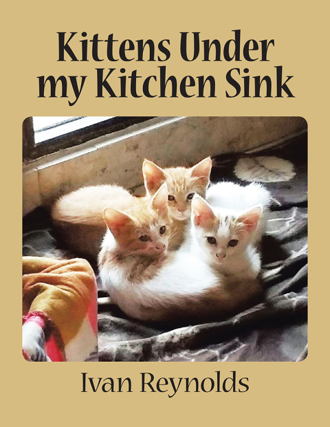 Cover image for book Kittens Under My Kitchen Sink