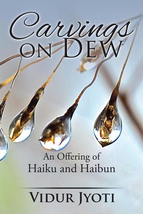 Cover image for book Carvings on Dew