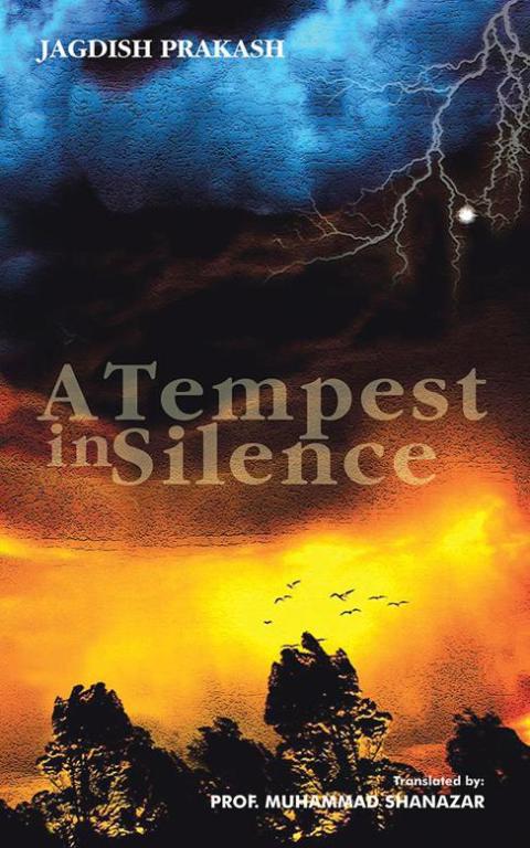 Cover image for book A Tempest in Silence