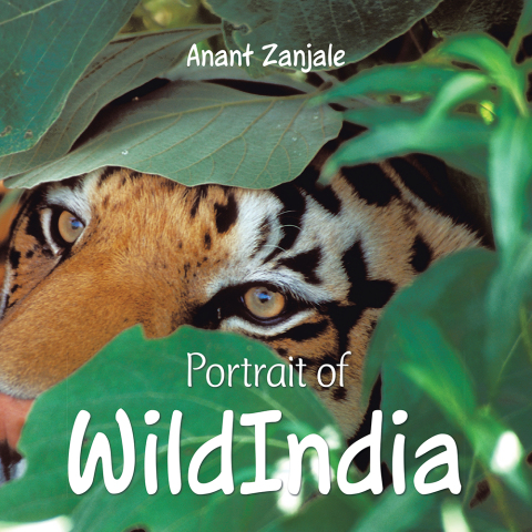 Cover image for book Portrait of Wildindia