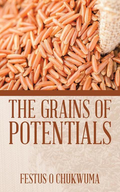 Cover image for book The Grains of Potentials
