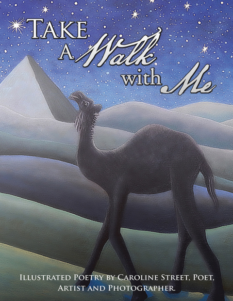 Cover image for book Take a Walk with Me