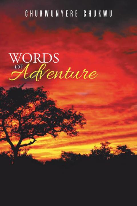 Cover image for book Words of Adventure