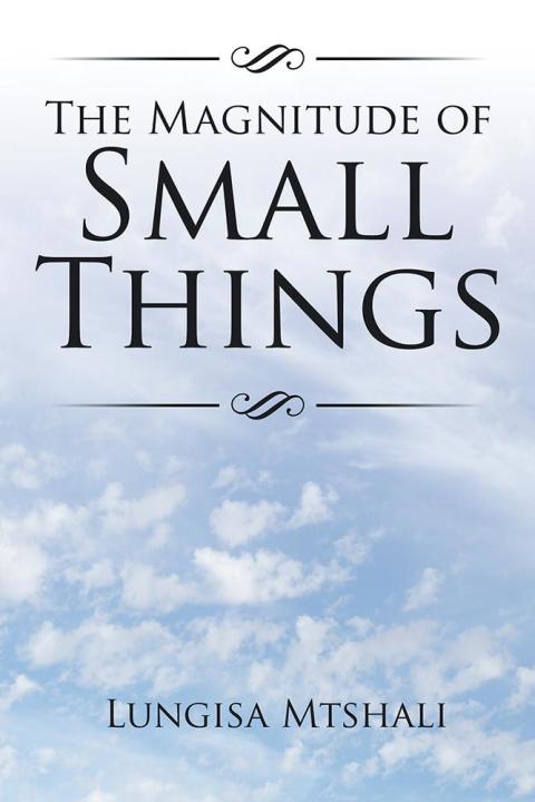 Cover image for book The Magnitude of Small Things