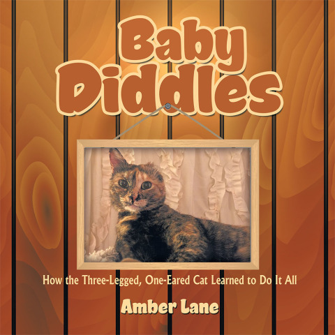 Cover image for book Baby Diddles