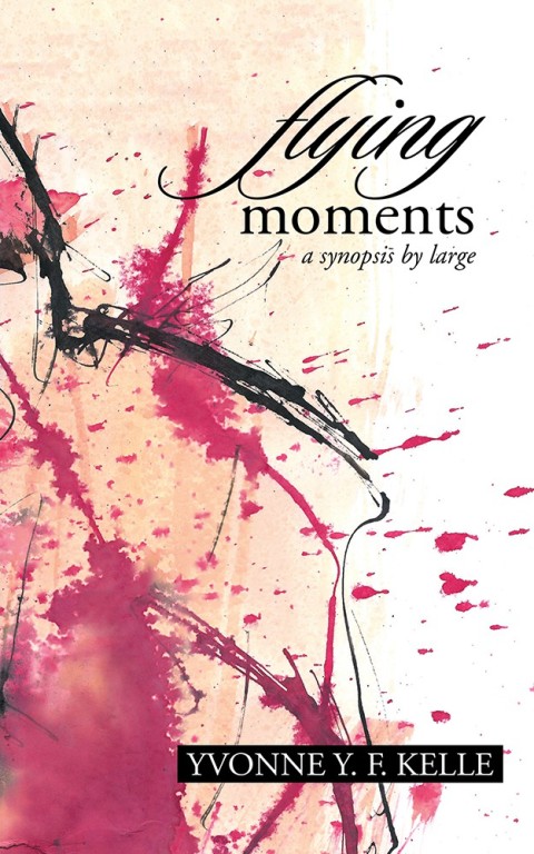 Cover image for book Flying Moments