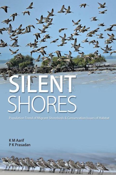 Cover image for book Silent Shores