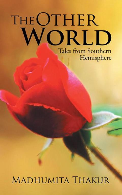 Cover image for book The Other World