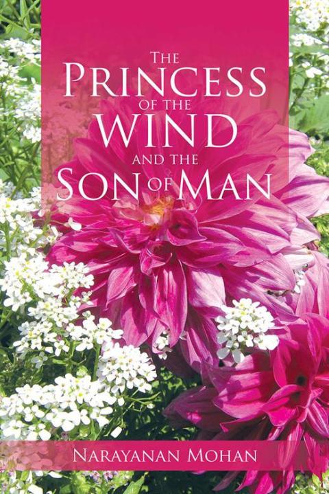 Cover image for book The Princess of the Wind and the Son of Man