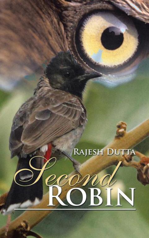 Cover image for book Second Robin