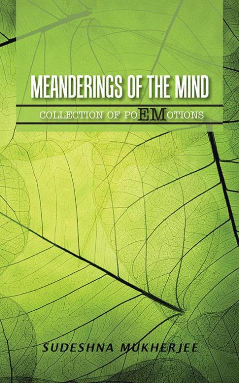 Cover image for book Meanderings of the Mind