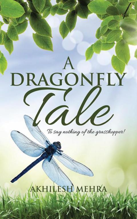Cover image for book A Dragonfly Tale