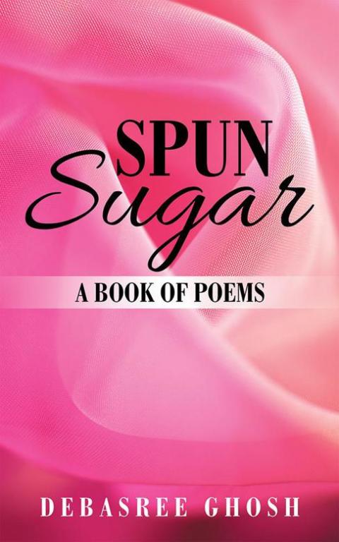 Cover image for book Spun Sugar