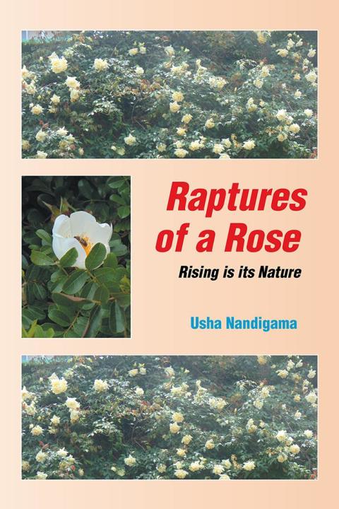 Cover image for book Raptures of a Rose