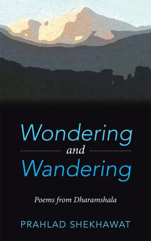 Cover image for book Wondering and Wandering