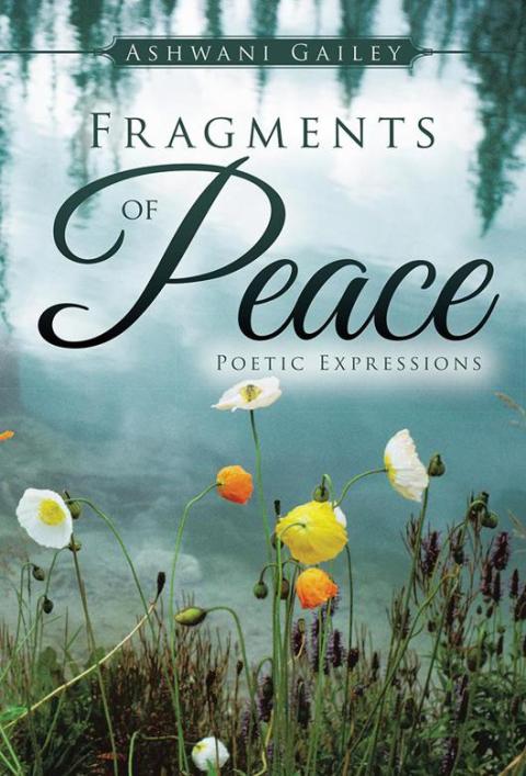 Cover image for book Fragments of Peace