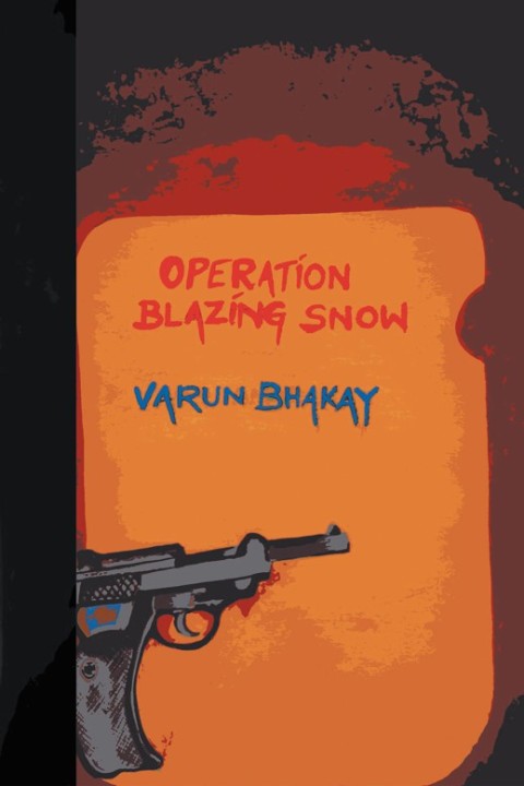 Cover image for book Operation Blazing Snow