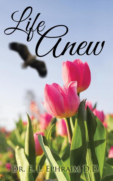 Cover image for book Life Anew
