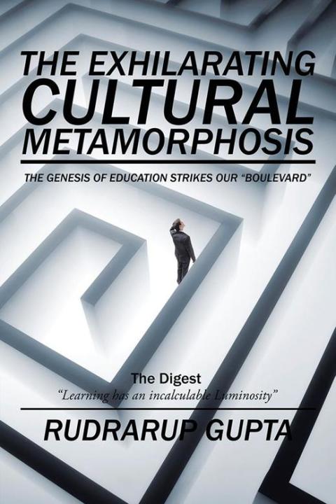 Cover image for book The Exhilarating Cultural Metamorphosis