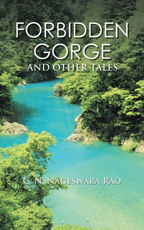 Cover image for book Forbidden Gorge