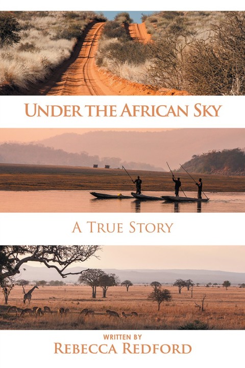 Cover image for book Under the African Sky