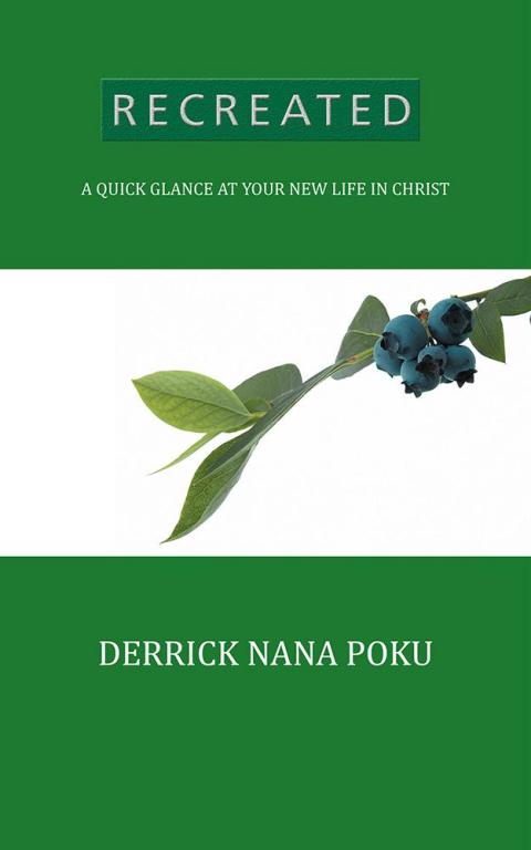 Cover image for book Recreated