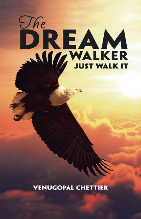 Cover image for book The Dream Walker