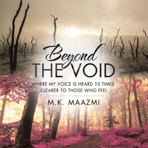 Cover image for book Beyond the Void
