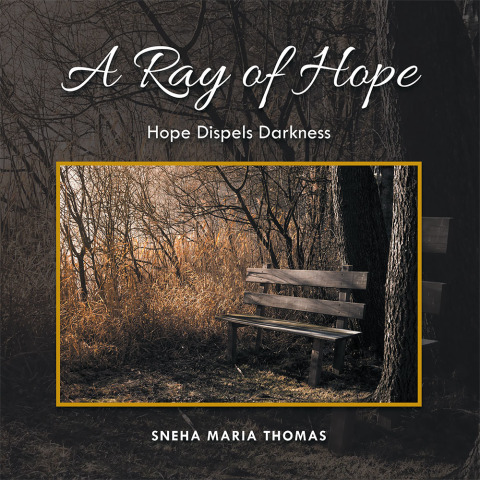 Cover image for book A Ray of Hope
