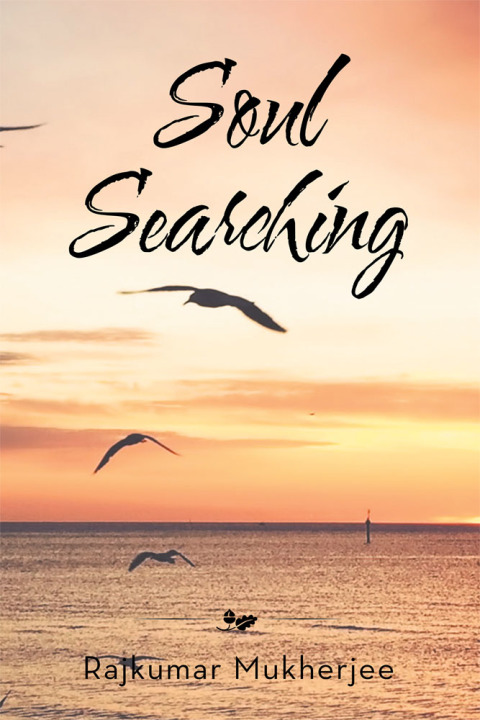 Cover image for book Soul Searching