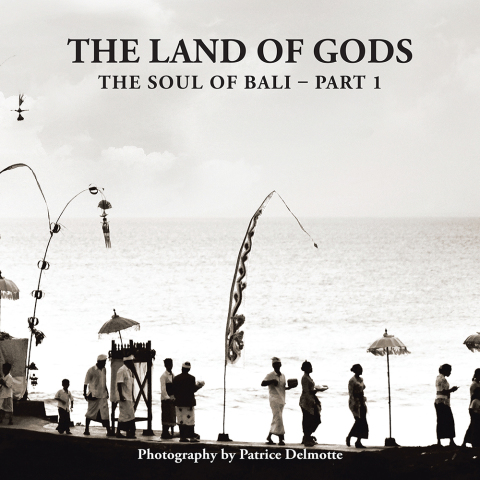 Cover image for book The Land of Gods