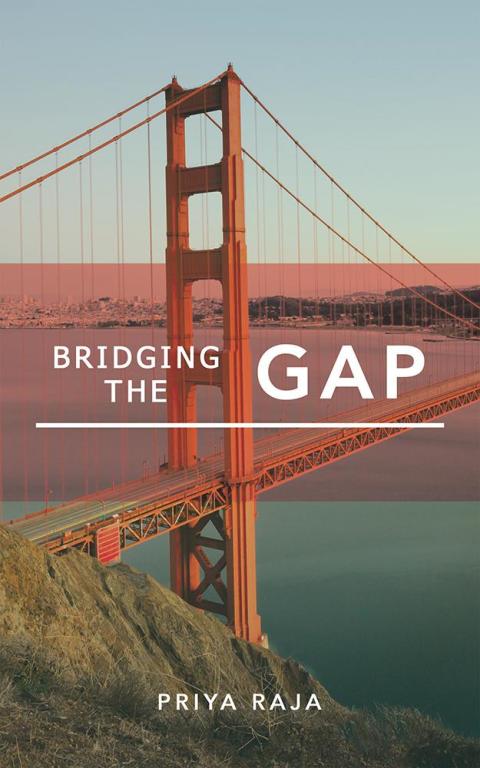 Cover image for book Bridging the Gap