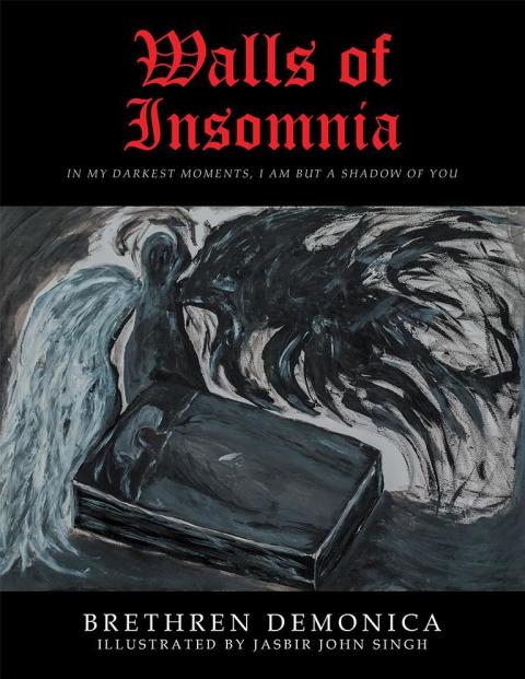 Cover image for book Walls of Insomnia