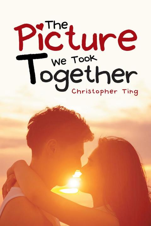 Cover image for book The Picture We Took Together