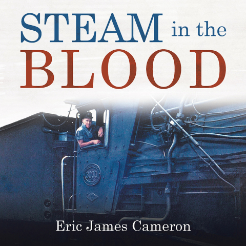 Cover image for book Steam in the Blood