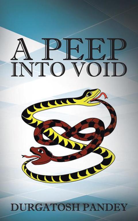 Cover image for book A Peep into Void
