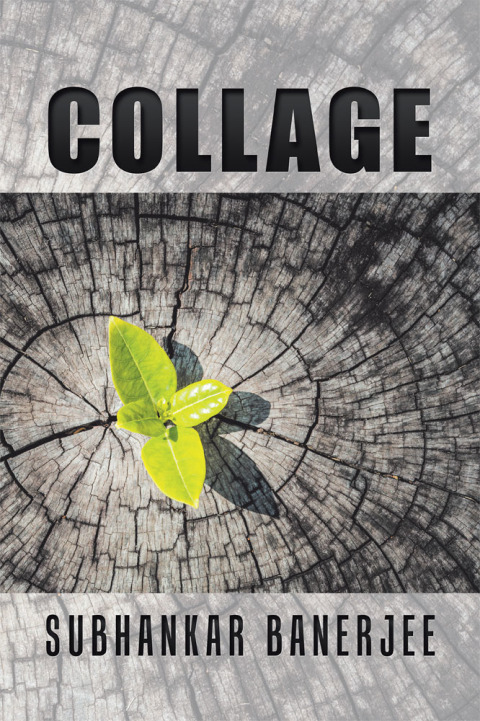 Cover image for book Collage