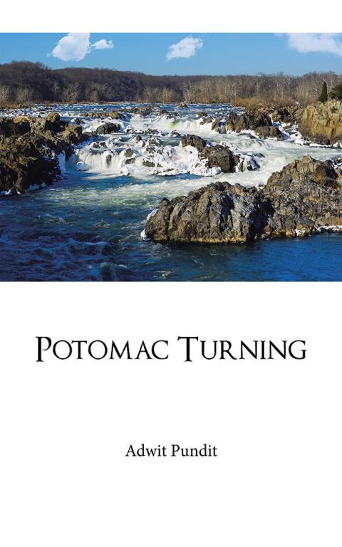 Cover image for book Potomac Turning