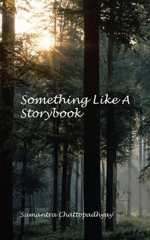 Cover image for book Something Like a Storybook