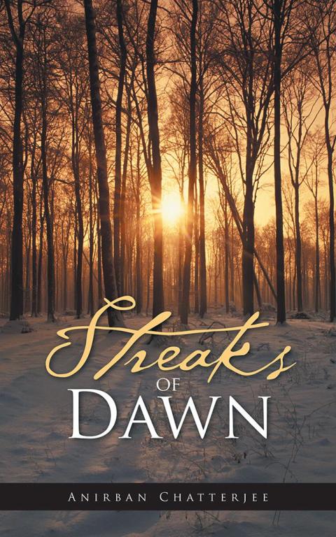 Cover image for book Streaks of Dawn