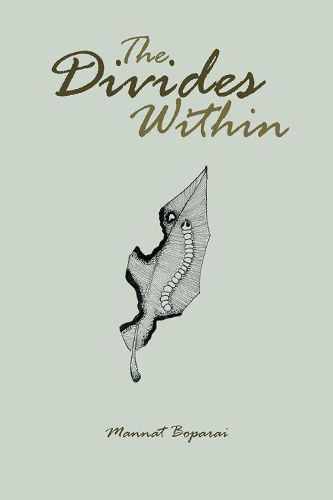 Cover image for book The Divides Within